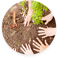 Wuyi Dasheng Leisure Products Co., Ltd.