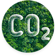 Wuyi Dasheng Leisure Products Co., Ltd.